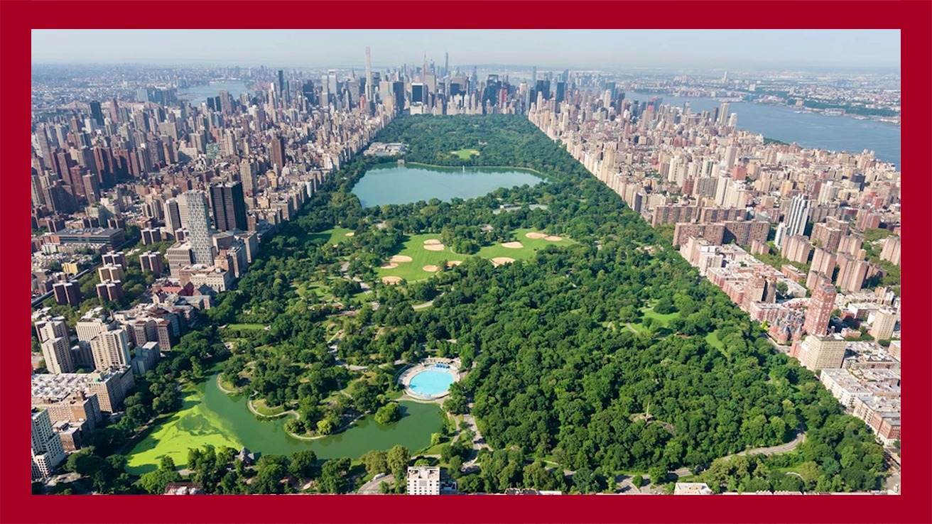 Grand Central Park в Нью-Йорке. Автор фото неизвестен